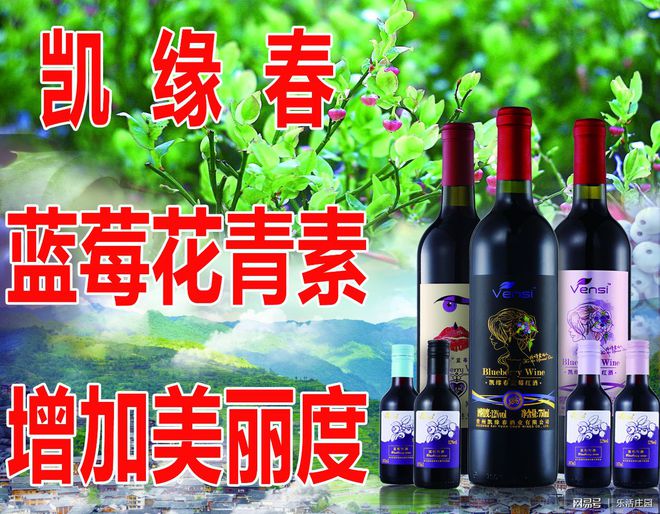 凯缘春蓝莓酒抢滩海南自贸港 酒业进出口新机遇与市场布局