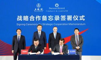 五粮液与保乐力加强强联合 签署战略合作谅解备忘录，共绘全球酒业共赢发展新蓝图